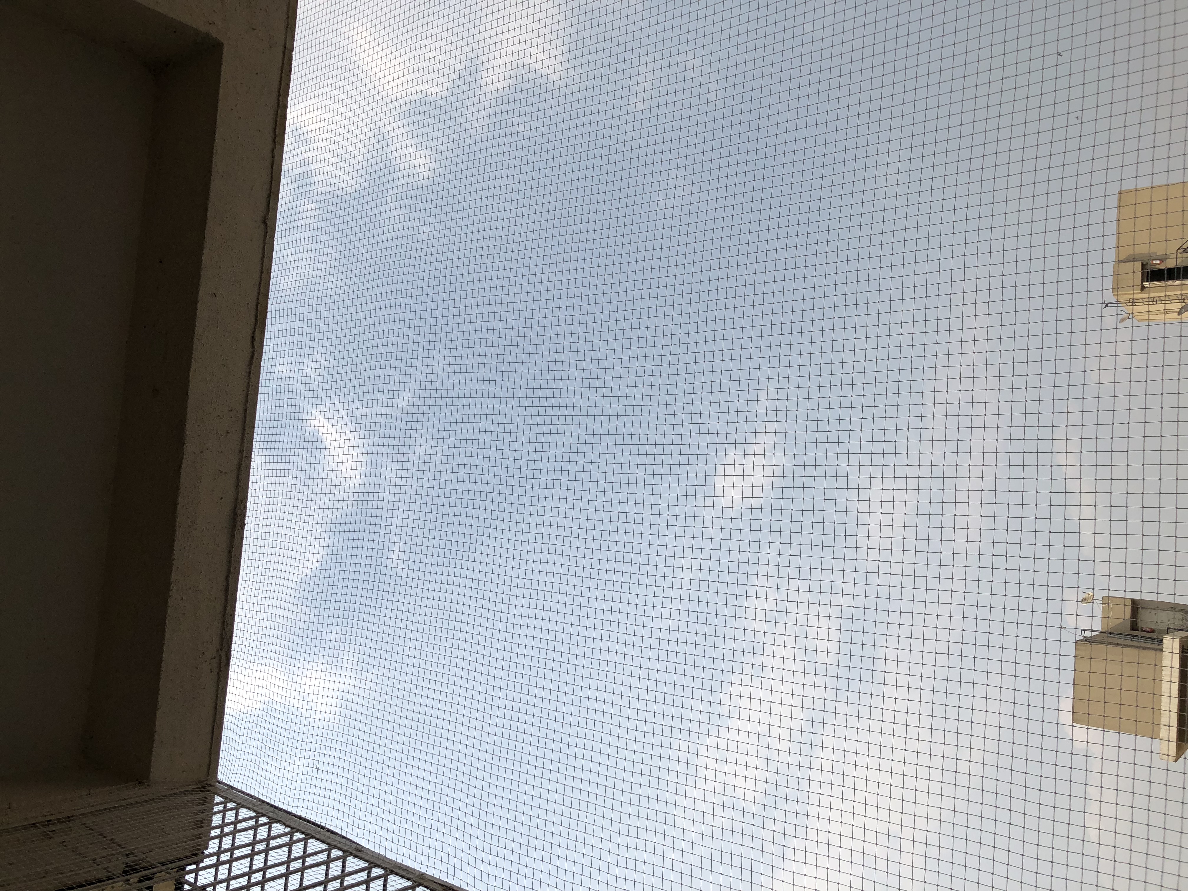Bird Netting